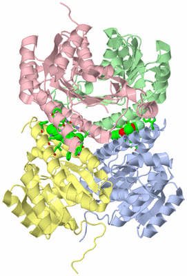 Image Asym./Biol. Unit - sites