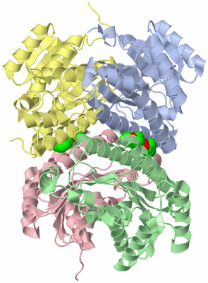 Image Asym./Biol. Unit