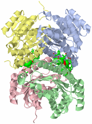 Image Asym./Biol. Unit - sites