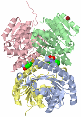 Image Asym./Biol. Unit