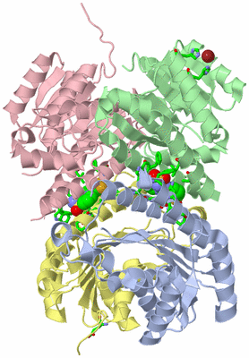 Image Asym./Biol. Unit - sites