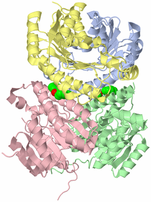 Image Asym./Biol. Unit