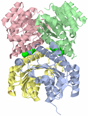 Image Asym./Biol. Unit