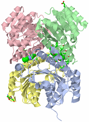 Image Asym./Biol. Unit - sites