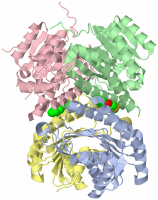 Image Asym./Biol. Unit