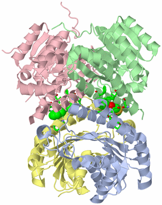 Image Asym./Biol. Unit - sites