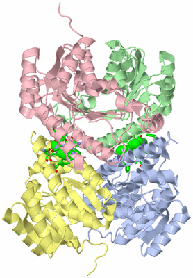 Image Asym./Biol. Unit - sites