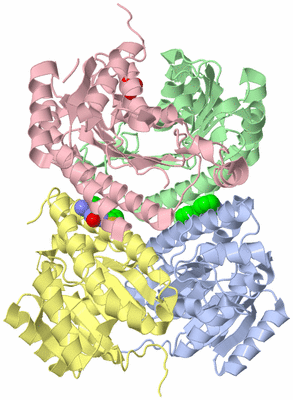 Image Asym./Biol. Unit