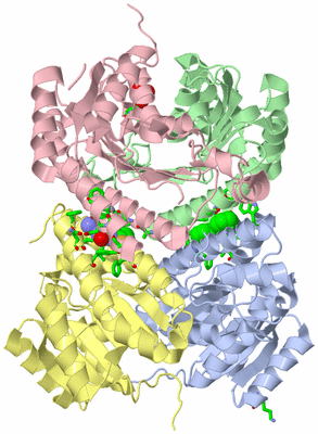 Image Asym./Biol. Unit - sites