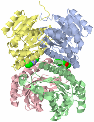 Image Asym./Biol. Unit