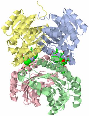 Image Asym./Biol. Unit - sites