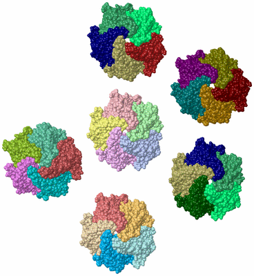 Image Asym./Biol. Unit