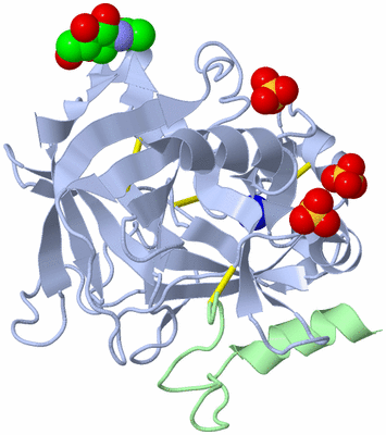 Image Biological Unit 2