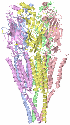 Image Asym./Biol. Unit