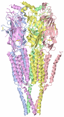 Image Asym./Biol. Unit