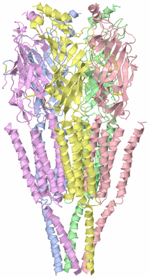 Image Asym./Biol. Unit