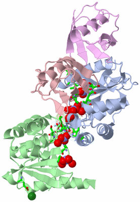 Image Asym./Biol. Unit - sites