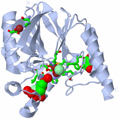 Image Biol. Unit 1 - sites