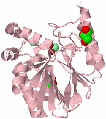 Image Biological Unit 3