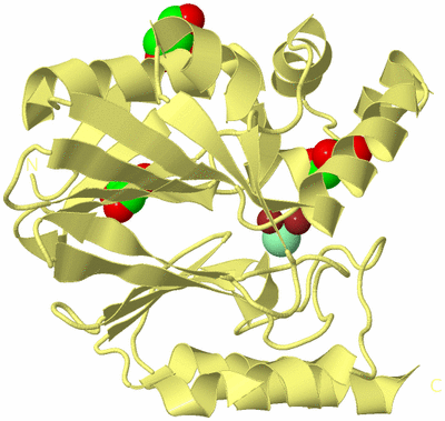 Image Biological Unit 4