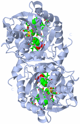 Image Biol. Unit 1 - sites