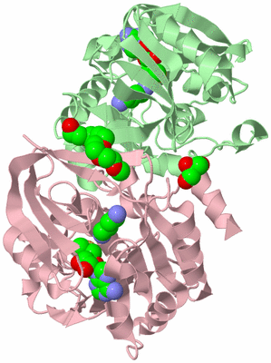 Image Biological Unit 2