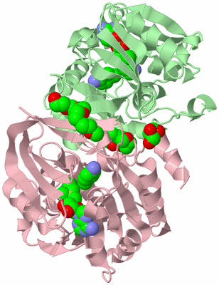 Image Biological Unit 2