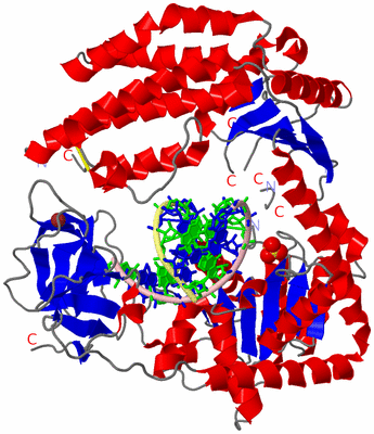 Image Asym./Biol. Unit