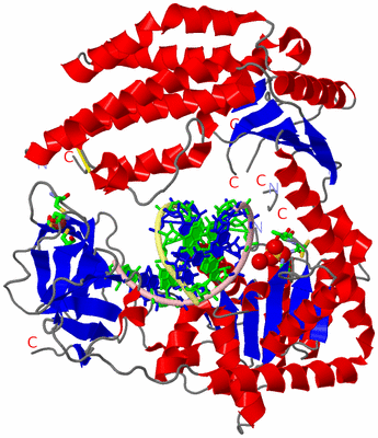 Image Asym./Biol. Unit - sites