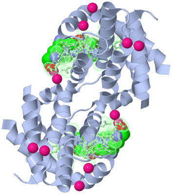 Image Biological Unit 1