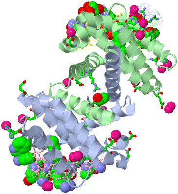 Image Asym./Biol. Unit - sites