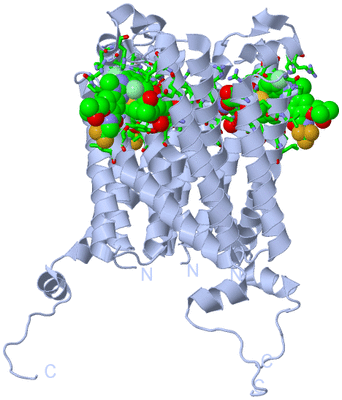 Image Biol. Unit 1 - sites