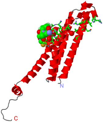 Image Asym. Unit - sites