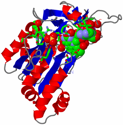 Image Asym./Biol. Unit - sites