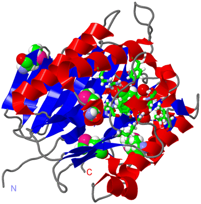 Image Asym./Biol. Unit - sites