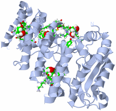 Image Biol. Unit 1 - sites