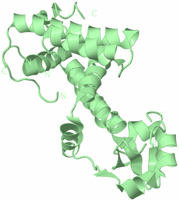 Image Biological Unit 3