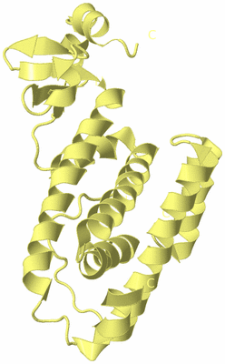 Image Biological Unit 4