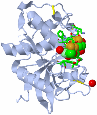 Image Biol. Unit 1 - sites