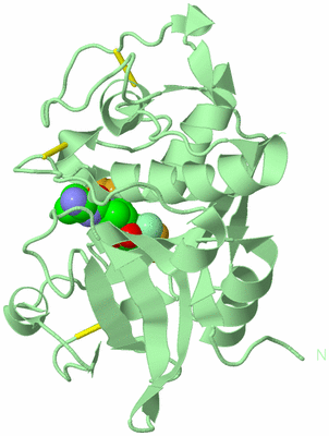 Image Biological Unit 2