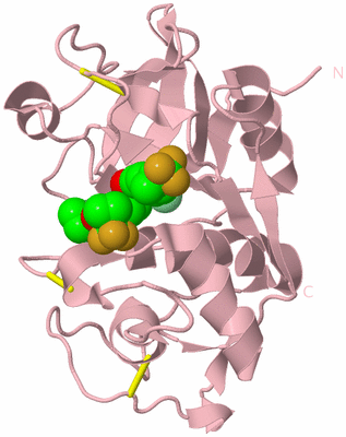 Image Biological Unit 3