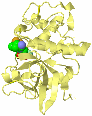 Image Biological Unit 4