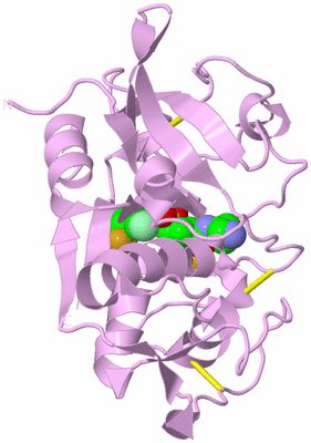 Image Biological Unit 5