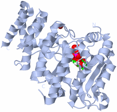 Image Biological Unit 1