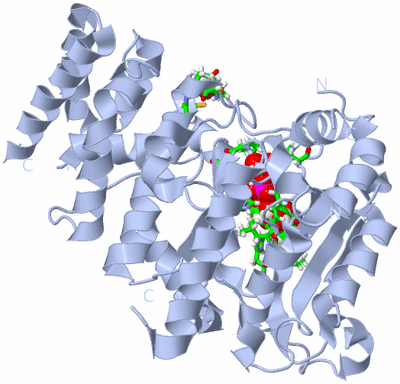 Image Biol. Unit 1 - sites