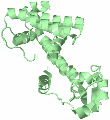 Image Biological Unit 3