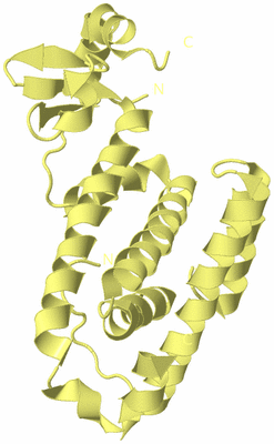 Image Biological Unit 4