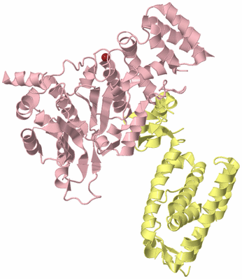 Image Biological Unit 1