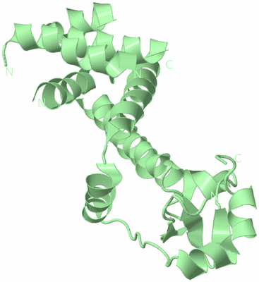 Image Biological Unit 3