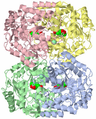 Image Asym./Biol. Unit